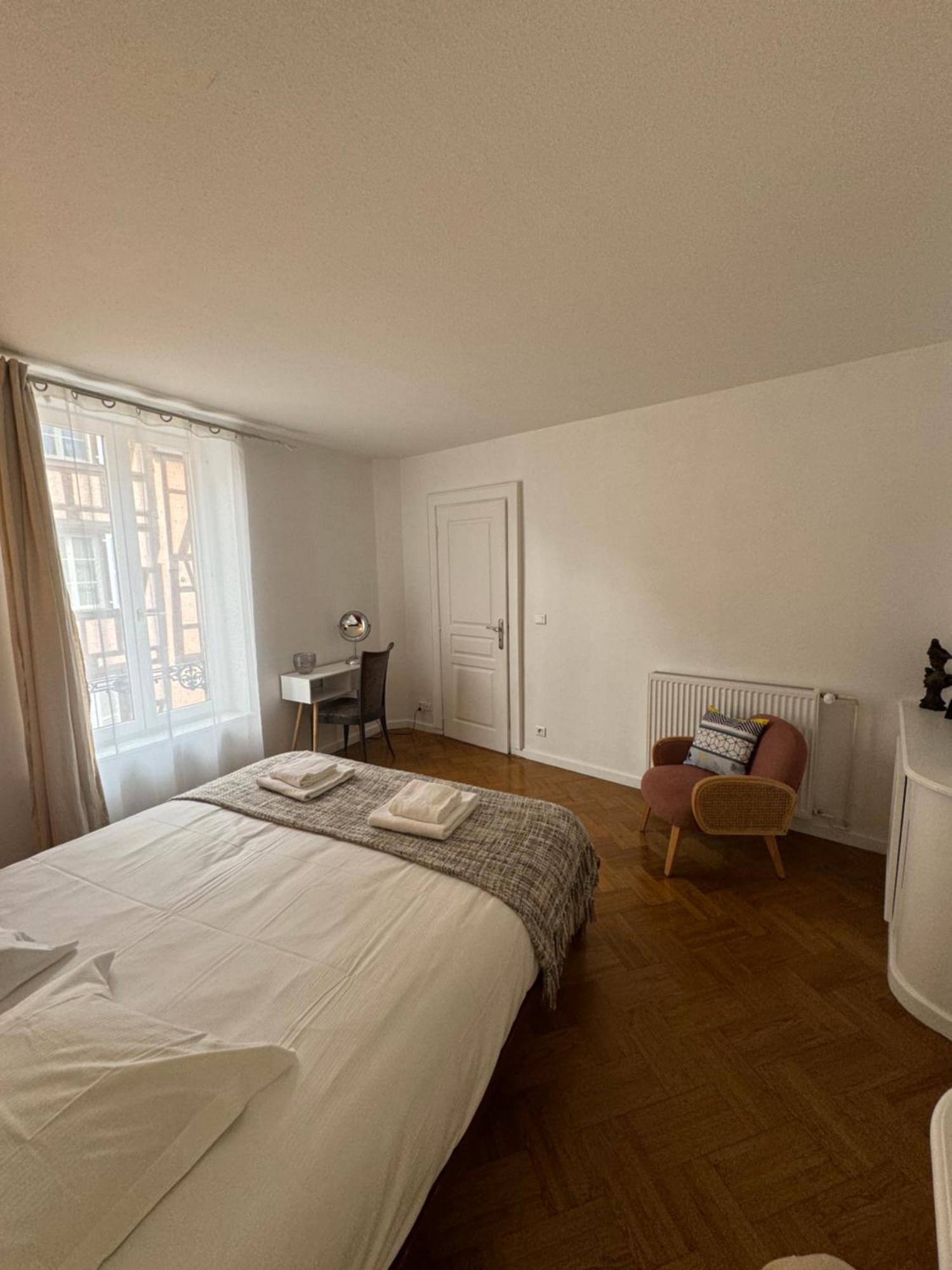 Appartement De Standing Hypercentre Colmar Zewnętrze zdjęcie