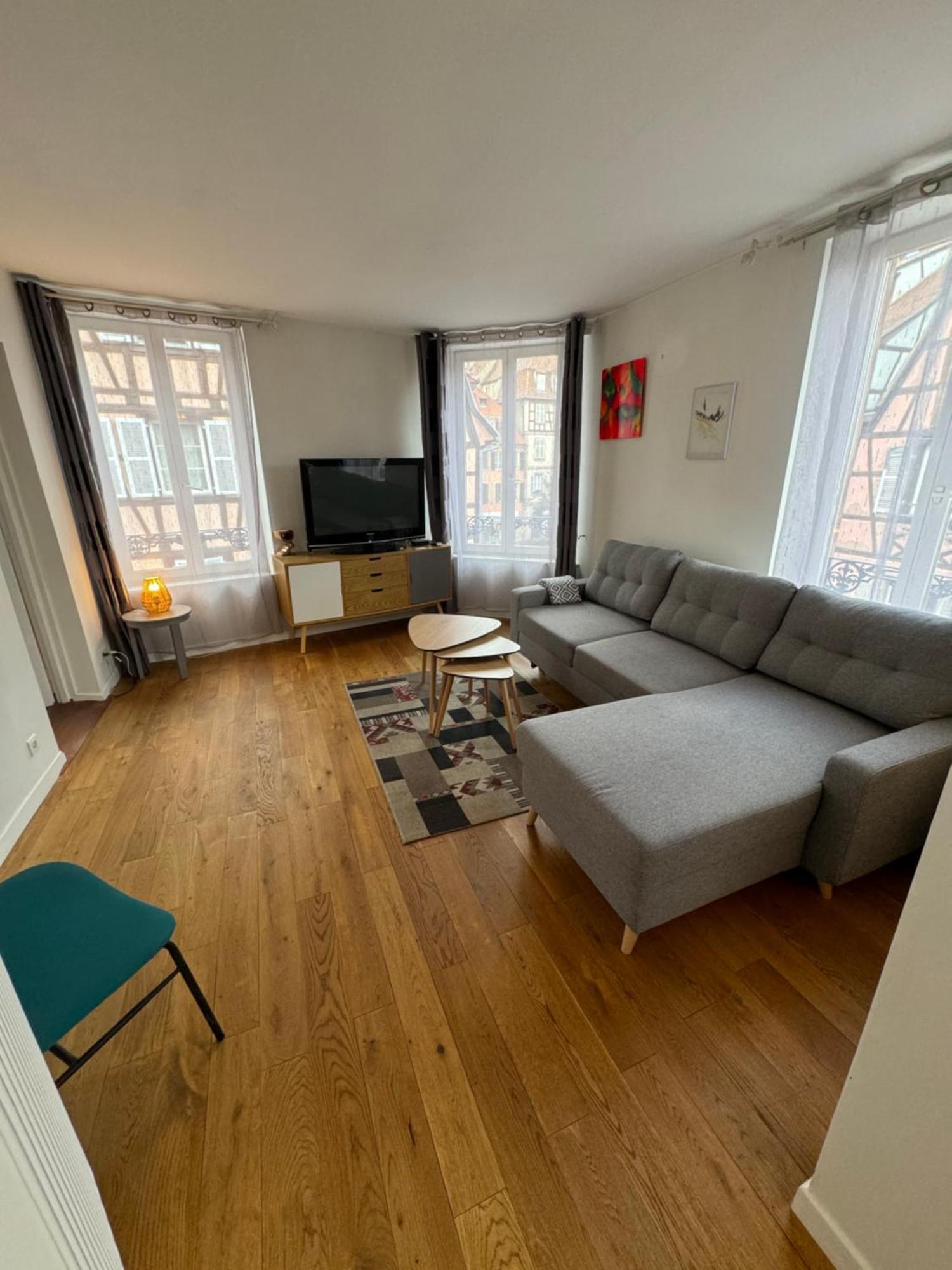 Appartement De Standing Hypercentre Colmar Zewnętrze zdjęcie
