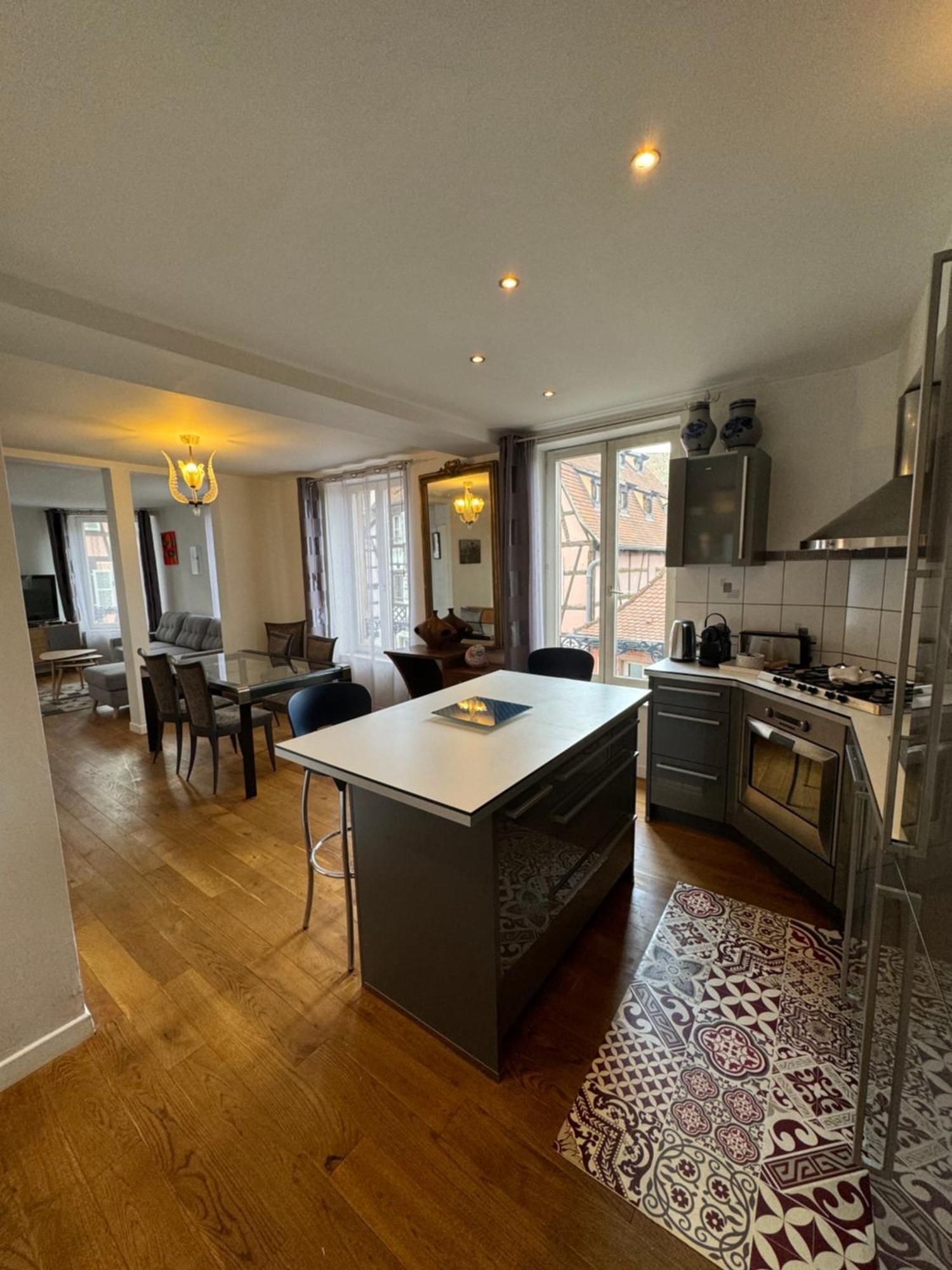 Appartement De Standing Hypercentre Colmar Zewnętrze zdjęcie